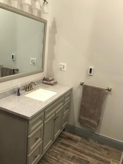 The Cast Iron Lady Apartment Wyalusing Екстериор снимка